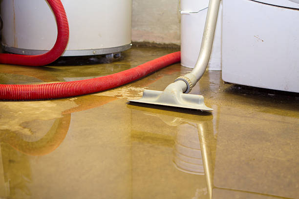 Reliable Atoka, NM Water damage restoration Solutions