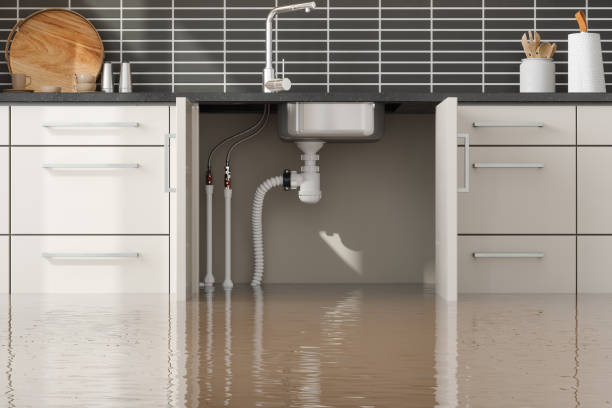 Best Water damage cleanup near me  in Atoka, NM